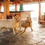 Prevelko - Rozpravkovo * Vysoké Tatry